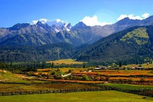 夏日悠游 六大國內(nèi)避暑勝地，開啟完美暑假旅程